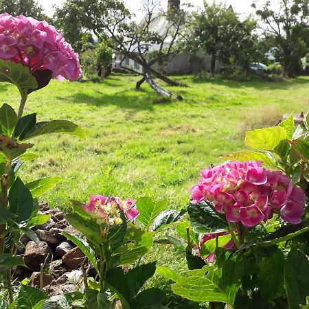 Terre De Reveries Maisoncelles-la-Jourdan Εξωτερικό φωτογραφία